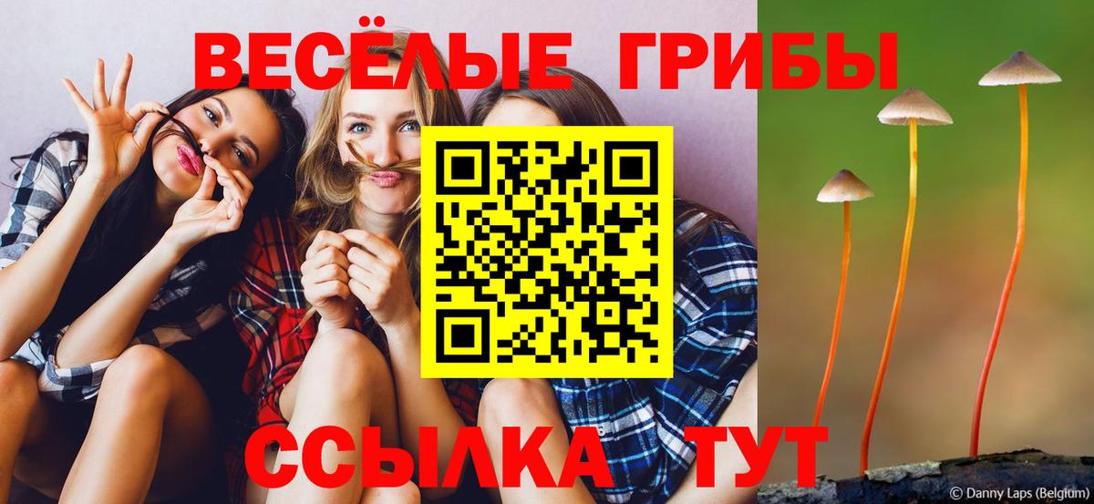 Псилоцибиновые грибы Psilocybe  Вход с VPN  Валуйки 
